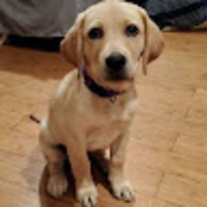 Meet your Posher, Isa